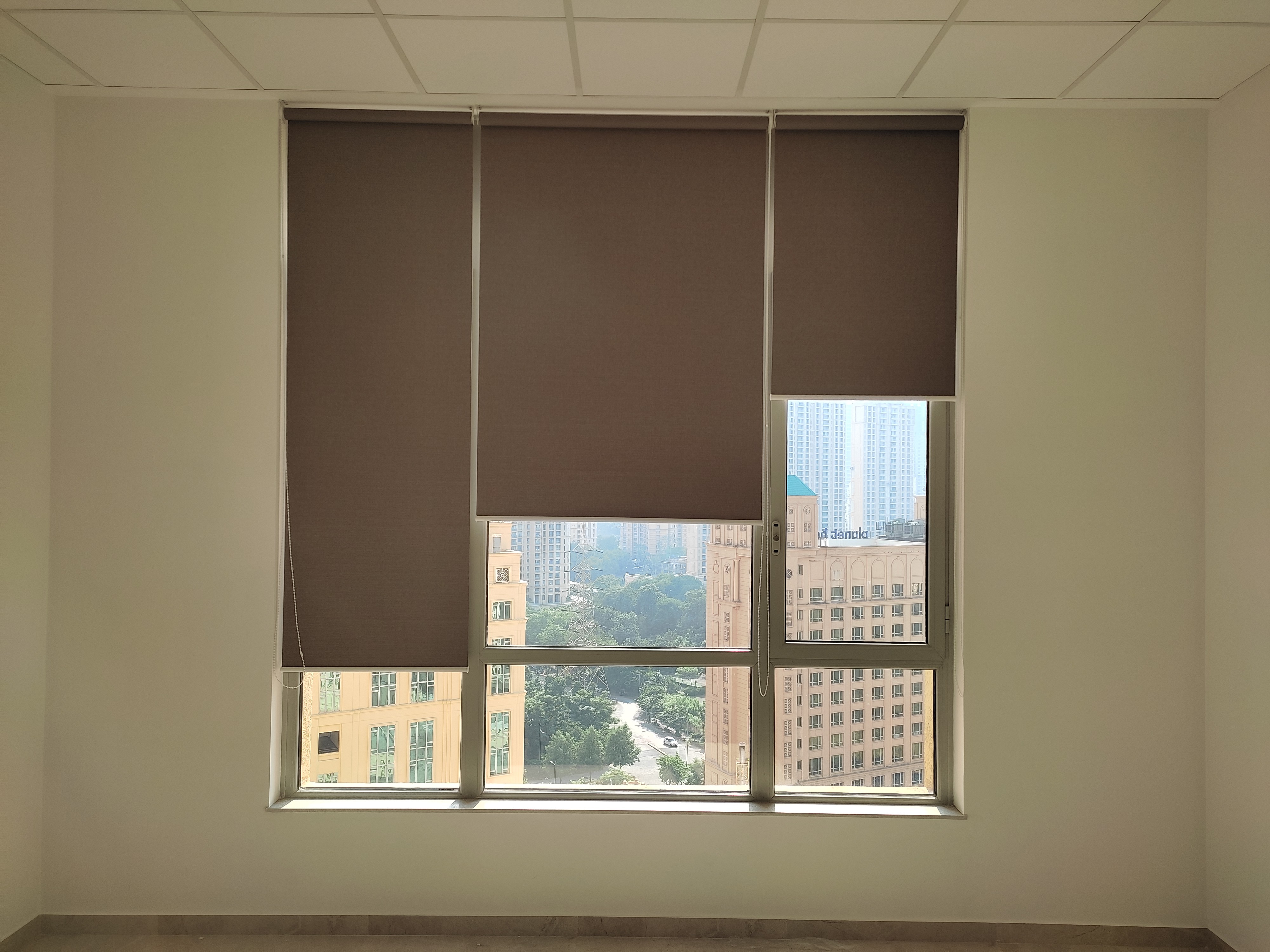 Roller Blinds