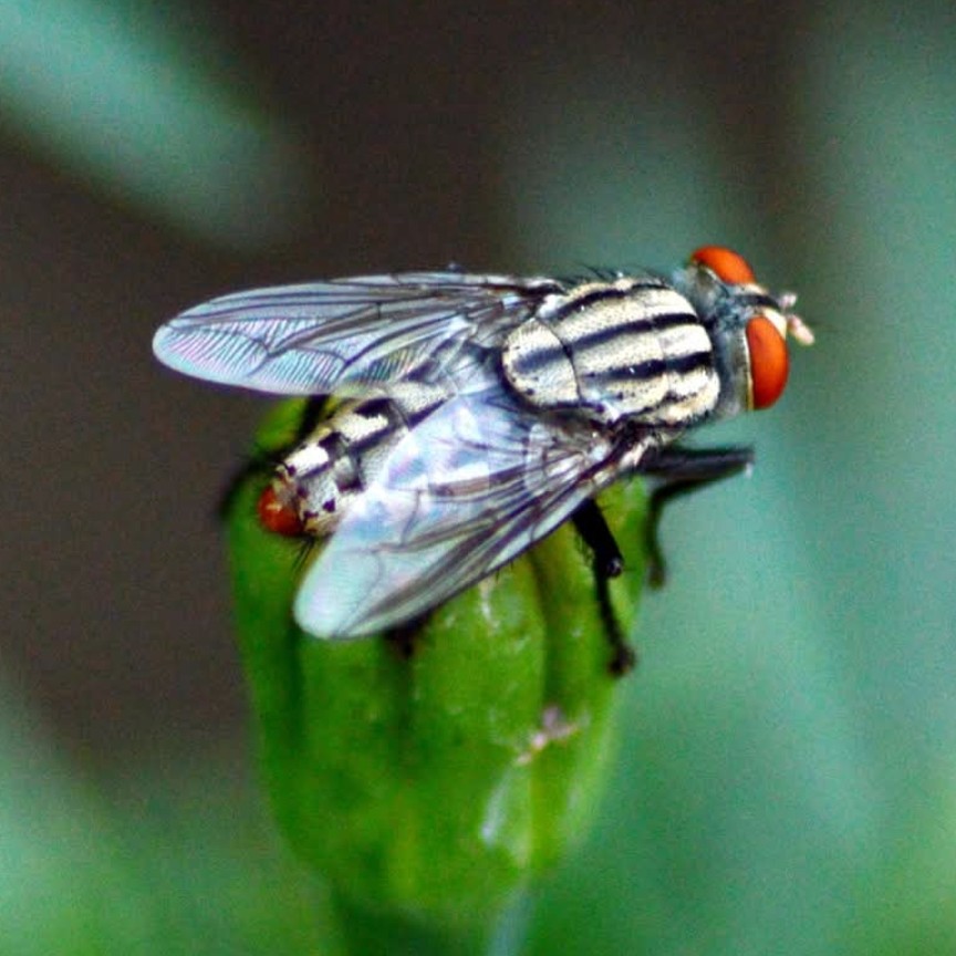 Om Anand Photography