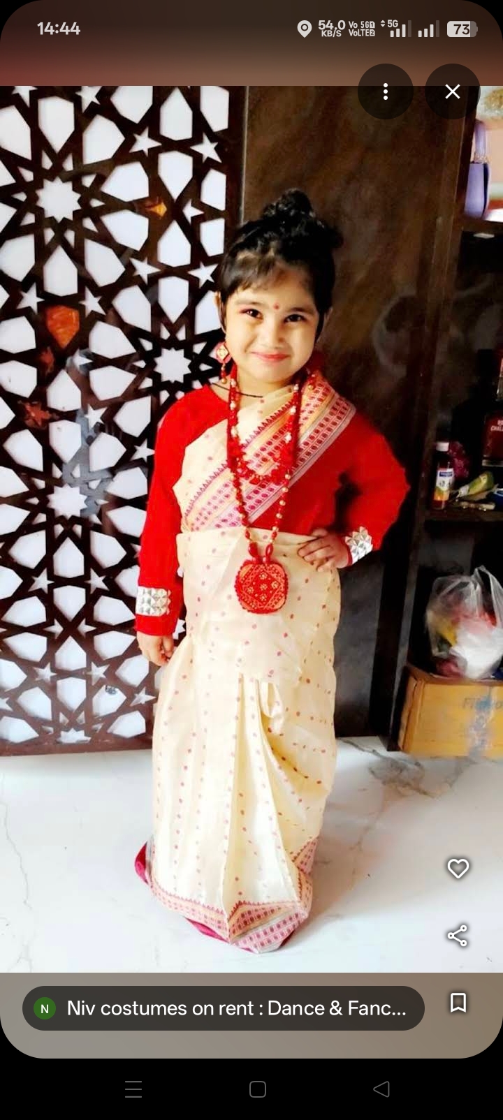 Niv costumes on rent