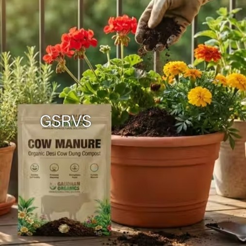 गौ सेवा राष्ट्र विकास संगठन 